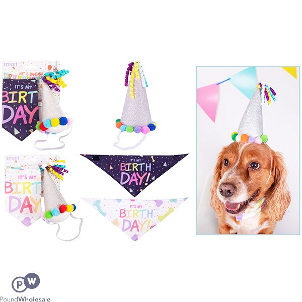 SMART CHOICE BANDANNA & PARTY HAT FOR DOGS SET ASSORTED