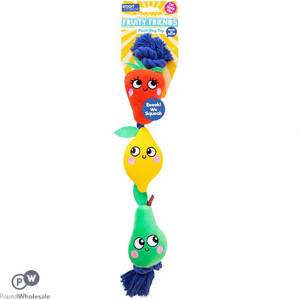 Smart Choice Summer Fruity Friends Squeaky Rope Dog Toy 43cm