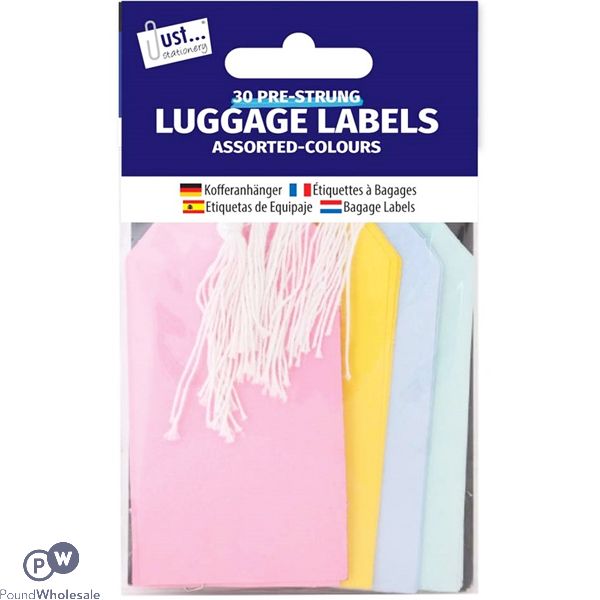 Just Stationery Assorted Colour Cardboard Luggage Labels 30 Pack