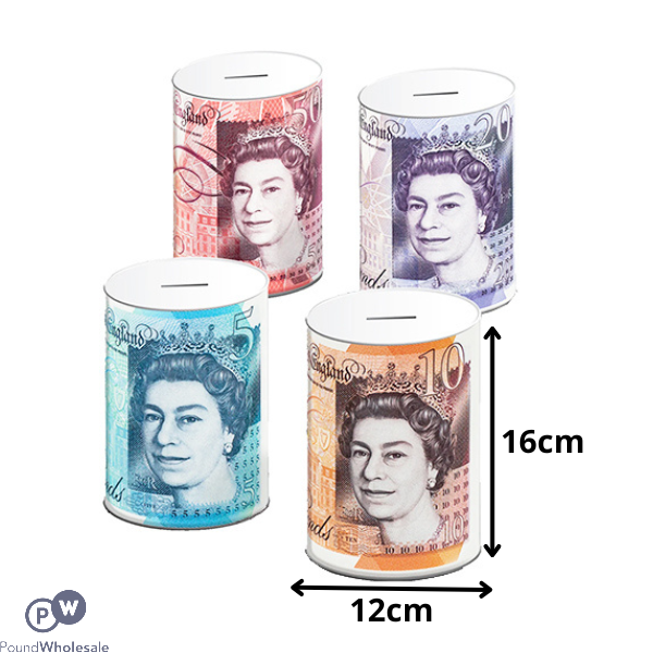 Sterling Money Tins Medium Assorted 12cm X 16cm