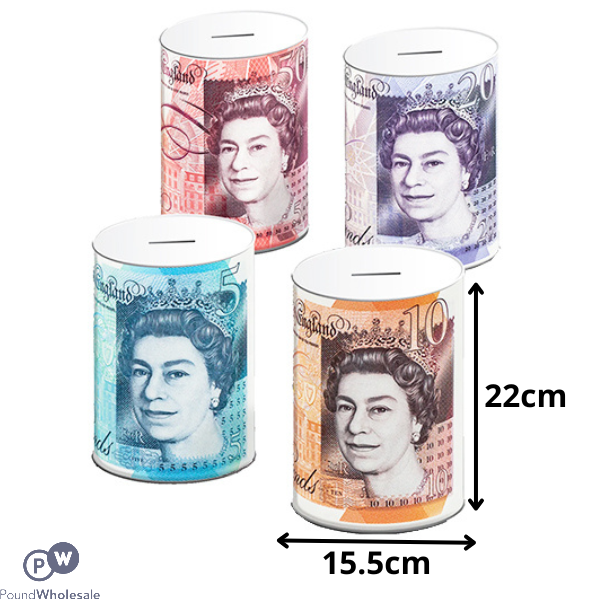 Sterling Money Tins Large Assorted 15.5cm X 22cm