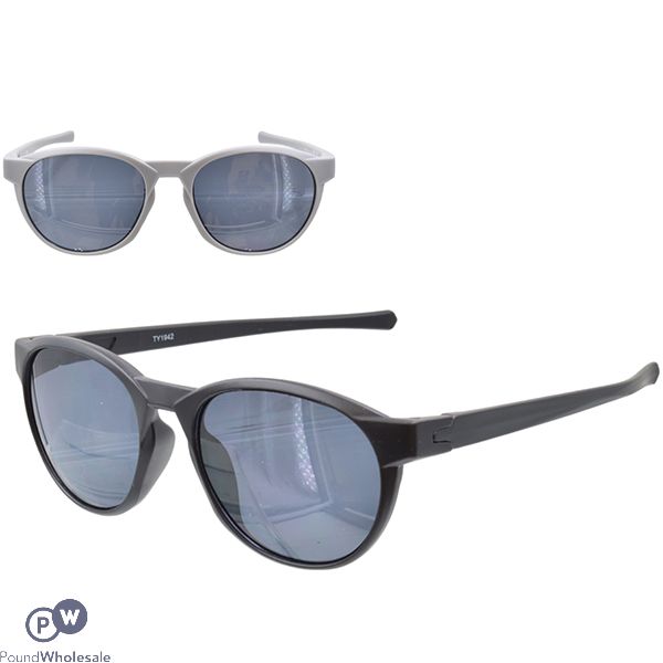 Adult Wayfarer Sunglasses 2 Assorted Colours
