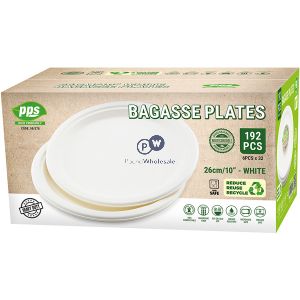 Pps Eco-friendly Disposable White Bagasse Plates 26cm 6 Pack