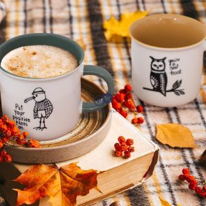 Mad About Mugs New Bone China Bird Character Mug 370ml Assorted