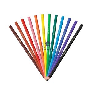 Bic Kids Assorted Colouring Pencils 12 Pack