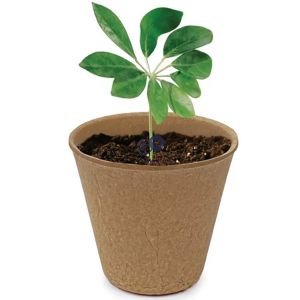 Dekton Biodegradable Round Paper Plant Pots 6cm X 5.6cm 60 Pack