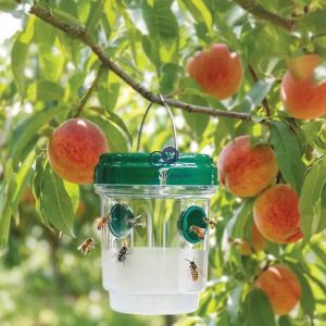 Dekton Reusable Hanging Wasp Trap 9.2cm X 11.8cm