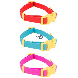 Smart Choice Bright Pvc Dog Collar 30cm-50cm Assorted Colours