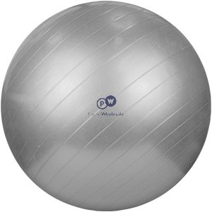 Fitstyle Anti-burst Gym Ball 55cm Assorted Colours
