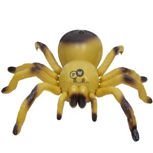 Rc Spider