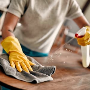 Multi-Purpose Cleaners