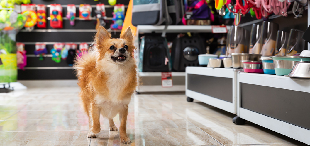 Increasing your profits on pet supplies