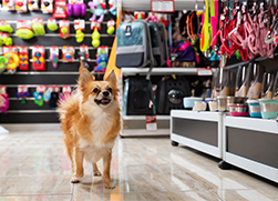 Increasing Your Profits Pet Supplies