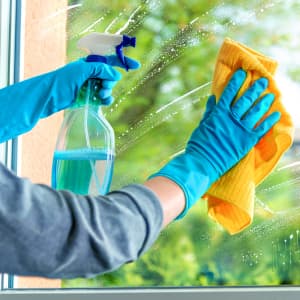 Window & Glass Cleaners