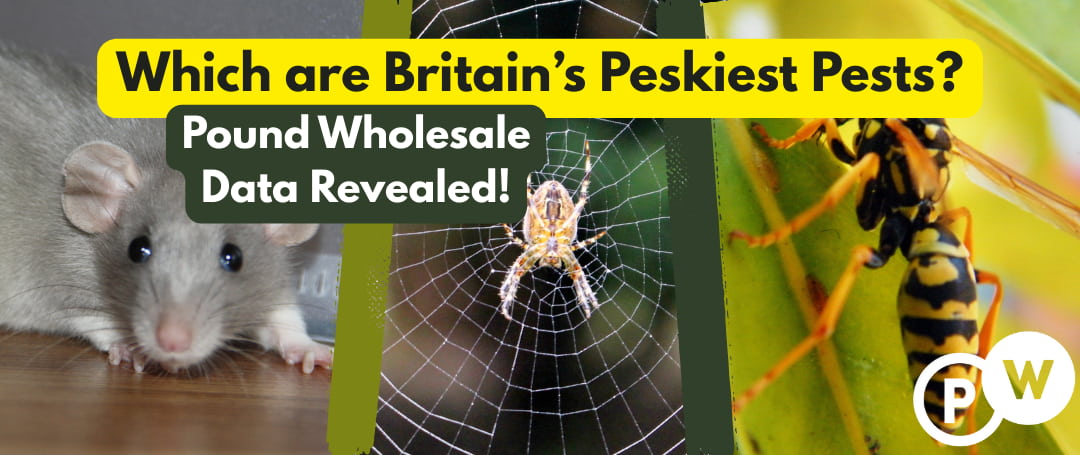 Which are Britain’s Peskiest Pests? Pound Wholesale Data Revealed!